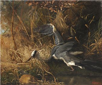 Graureiher im Schilf by Ernst Ludwig Plass, 1883