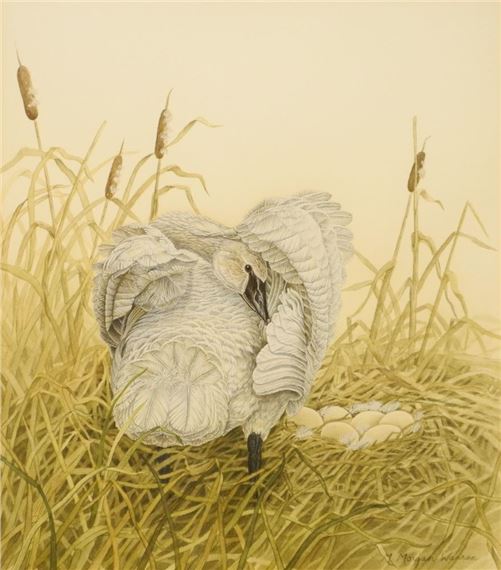 Morning Preen - Mary Warren