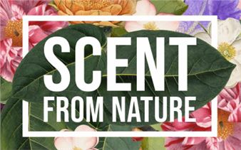 Scent from Nature: Beauty's botanical origins - Fitzwilliam Museum
