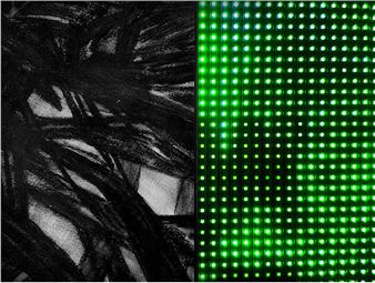 Thijs Zweers: Out Of Element - Torch Gallery