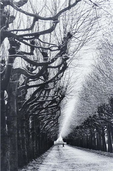 Meudon Observatory by Martine Franck, 1991