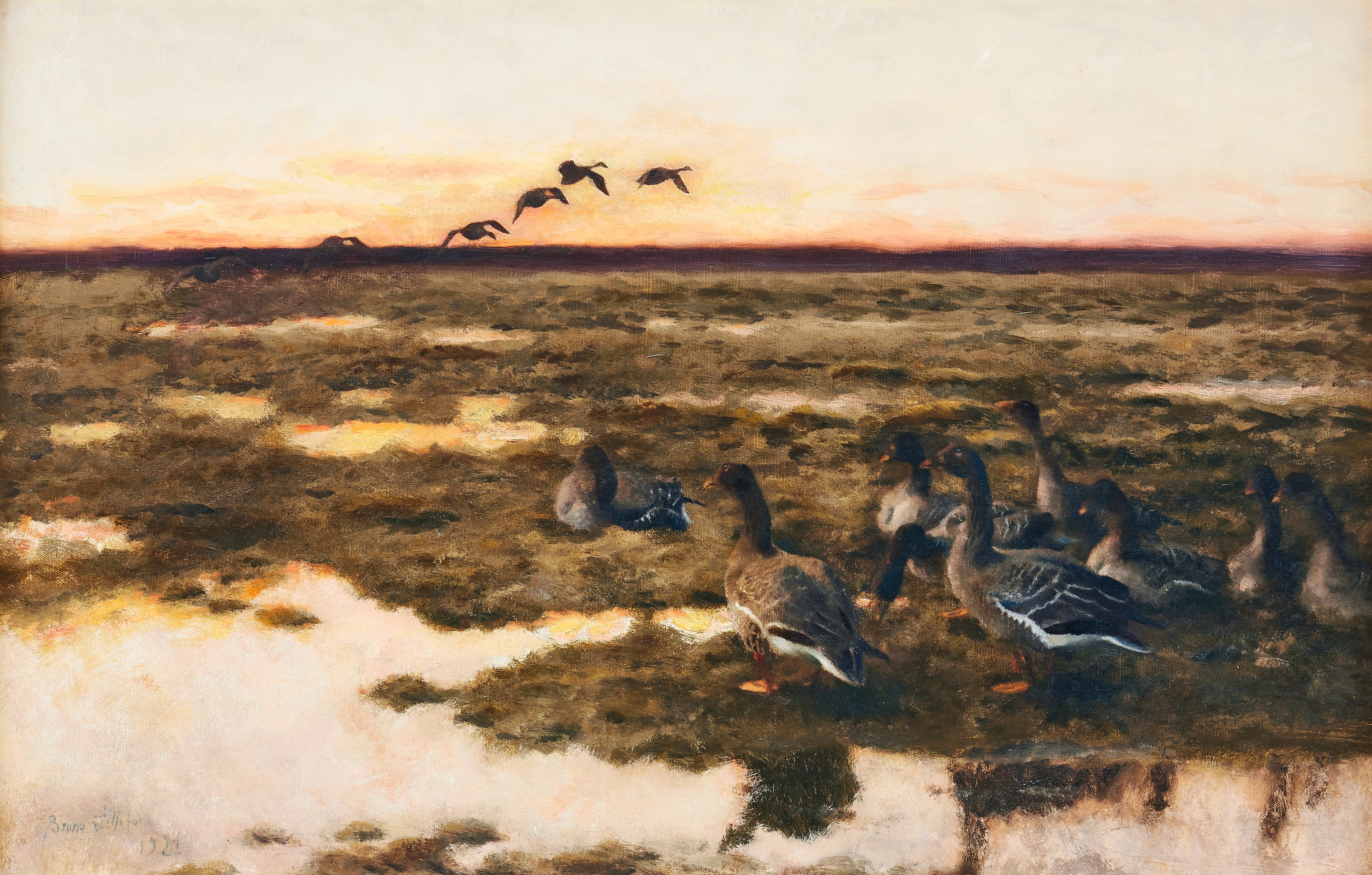 Artwork by Bruno Liljefors, Gäss i solnedgång, Made of oil on canvas