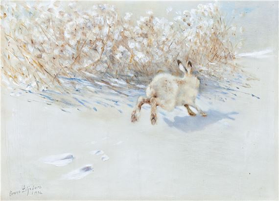 Vinterhare by Bruno Liljefors, 1936