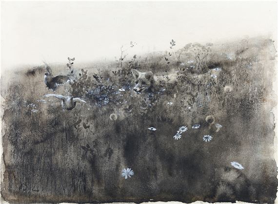 Räv uppjagande rapphöns