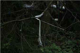 Bez tytułu - Krzysztof Maniak