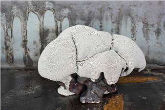  Souraya Haddad Credoz: Chimera - Remembrance of a Blooming Mind - Saleh Barakat Gallery 