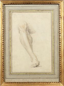 Anatomical study - F Preciado