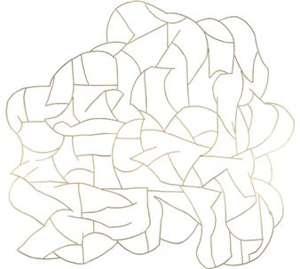 Peking Duck - Juan Fontanive