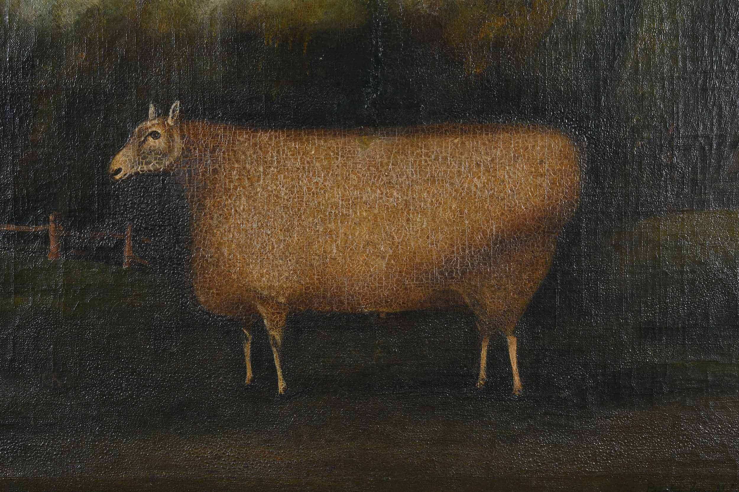 Artwork by John Miles of Northleach, Sheep in a Field, Made of oil on canvas