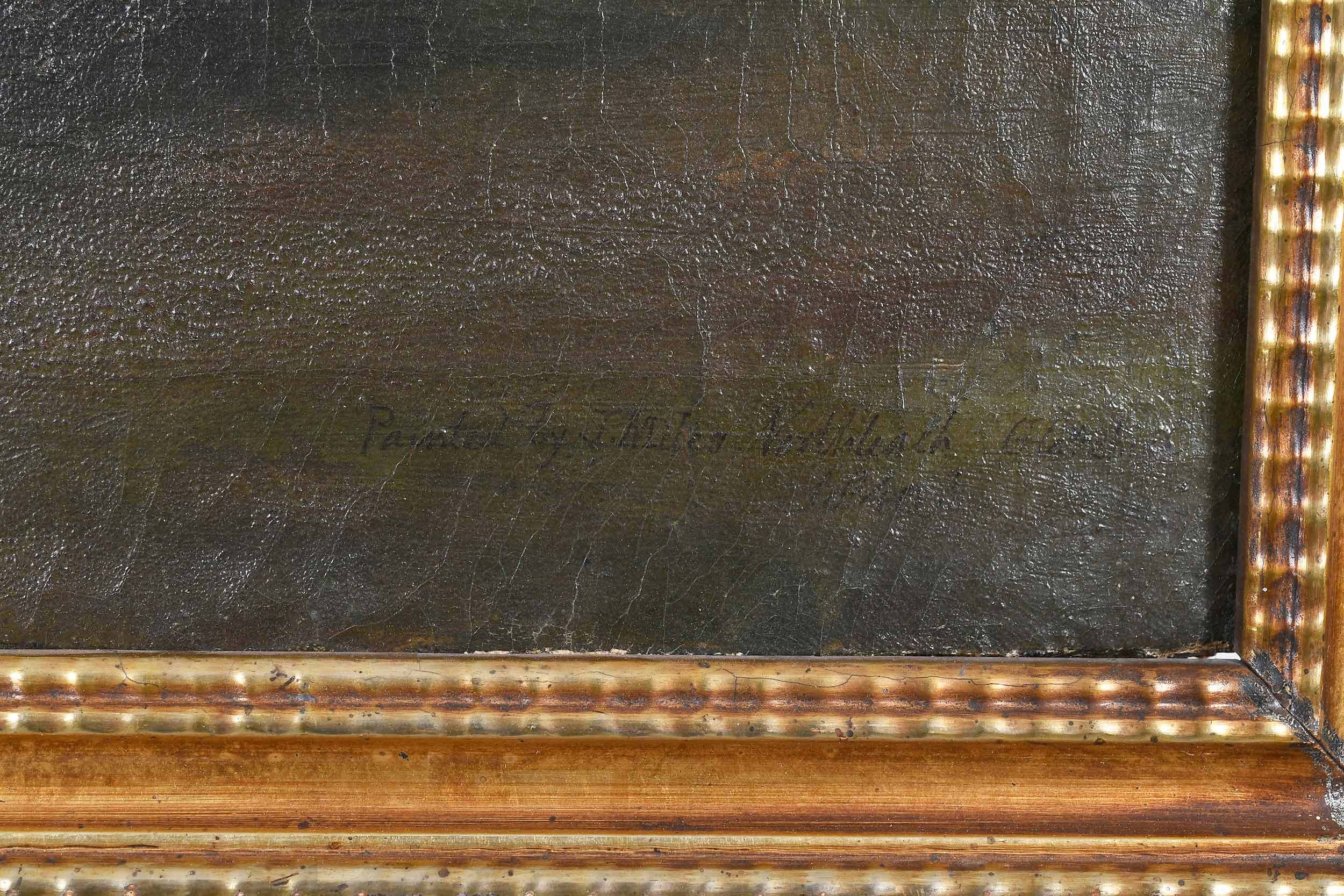 Artwork by John Miles of Northleach, Sheep in a Field, Made of oil on canvas