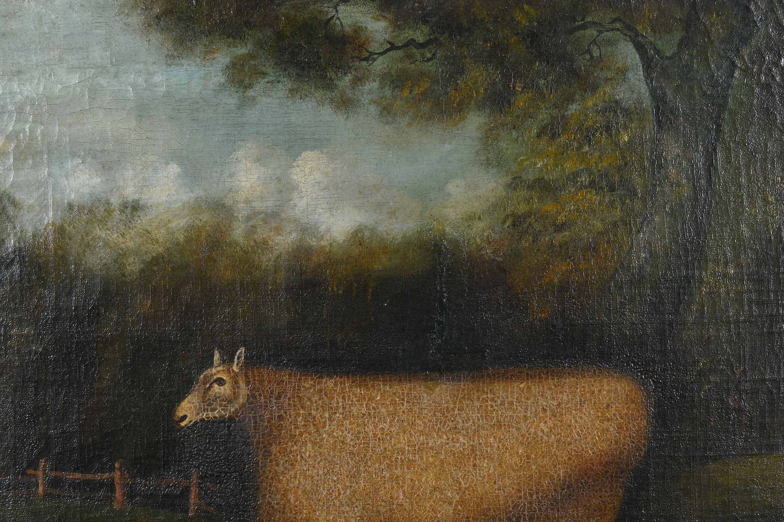 Artwork by John Miles of Northleach, Sheep in a Field, Made of oil on canvas