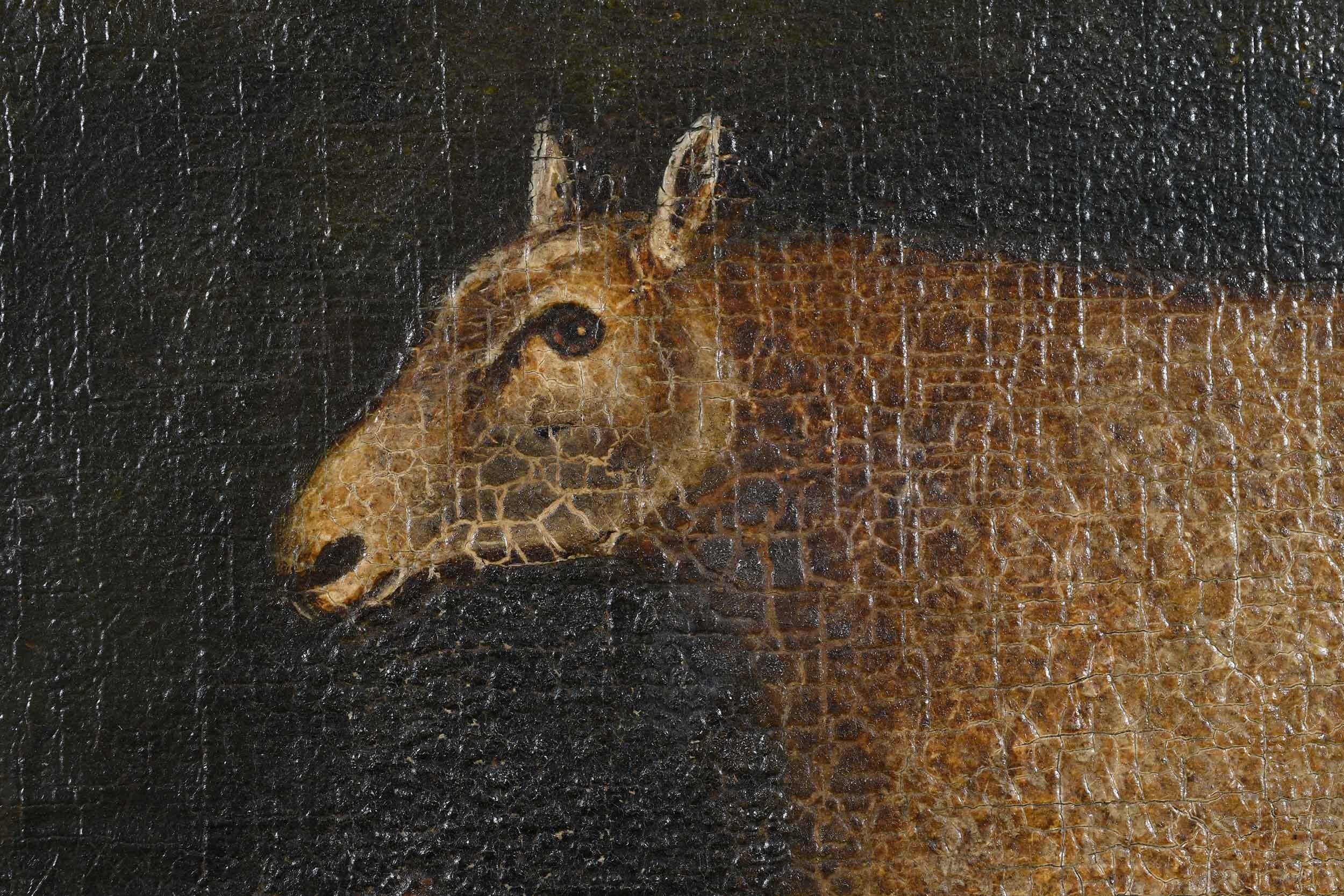 Artwork by John Miles of Northleach, Sheep in a Field, Made of oil on canvas