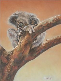 'Bushland Colours (Koala)' - Anne Gilbert