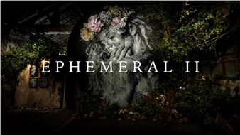 EPHEMERAL PART II: SNIK’s Exhibition Without an Audience