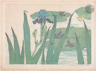 Frogs Picture