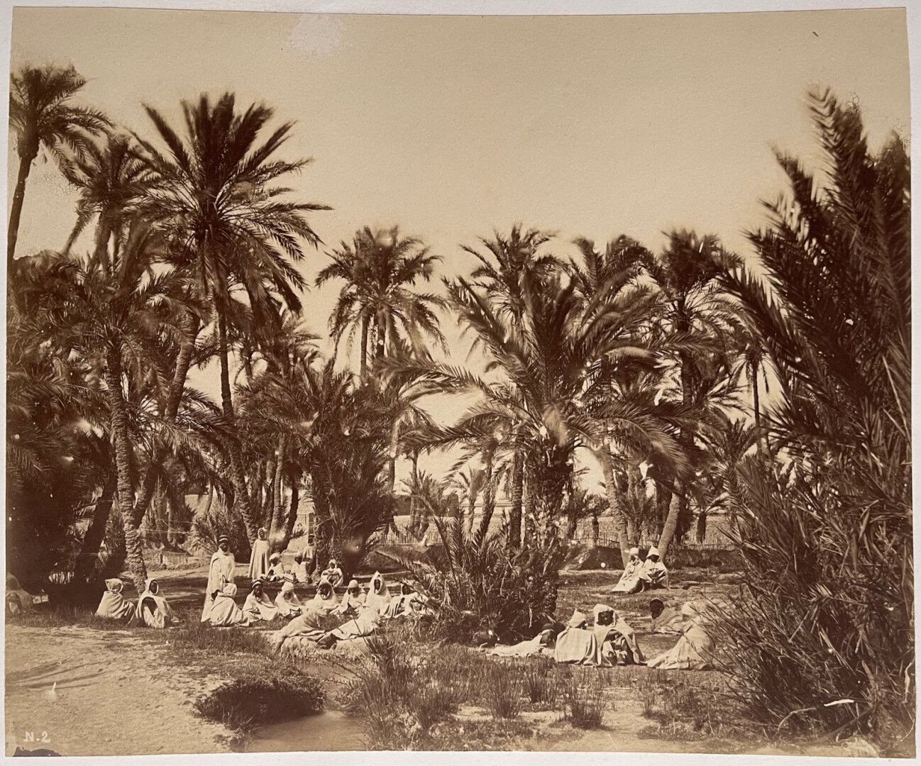 Tirage Albuminé Vintage Algérie Biskra Oasis Circa 1880 - Photo Ancienne Format 21x27 Cm