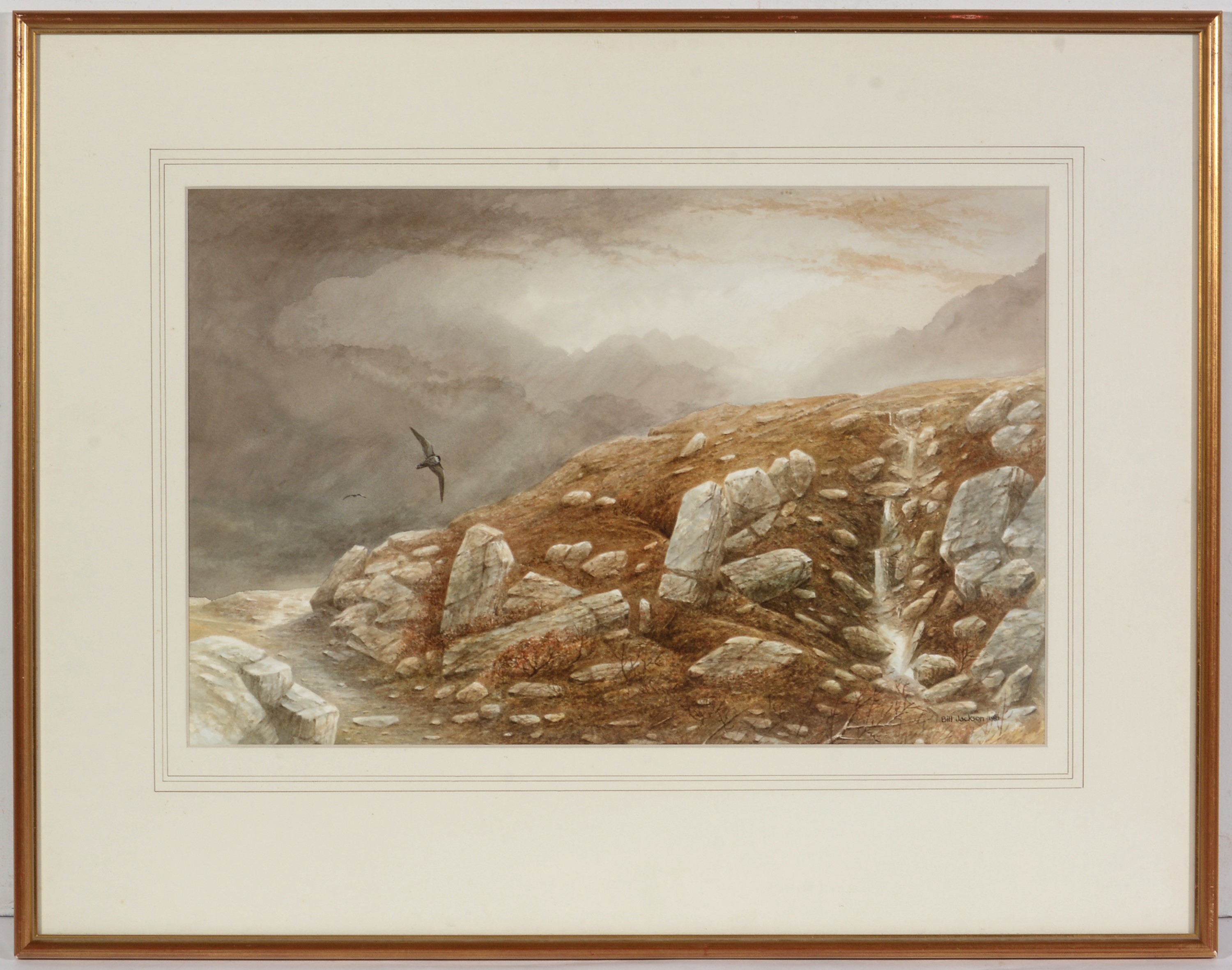 Artwork by Bill Jackson, Peregrines over moorland, Made of watercolour