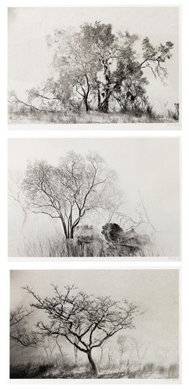 Mark Coller | Trees in landscape | MutualArt