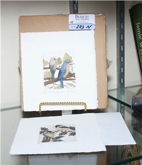 Chickadees and Eastern Bluebirds - John D. Furches