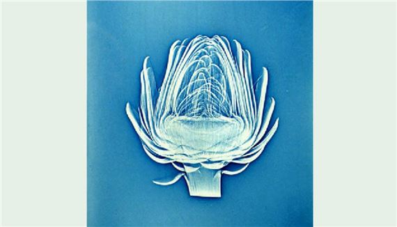 Retro. Art Photography of the 1970s - Museum of Fine Arts, Saint Petersburg