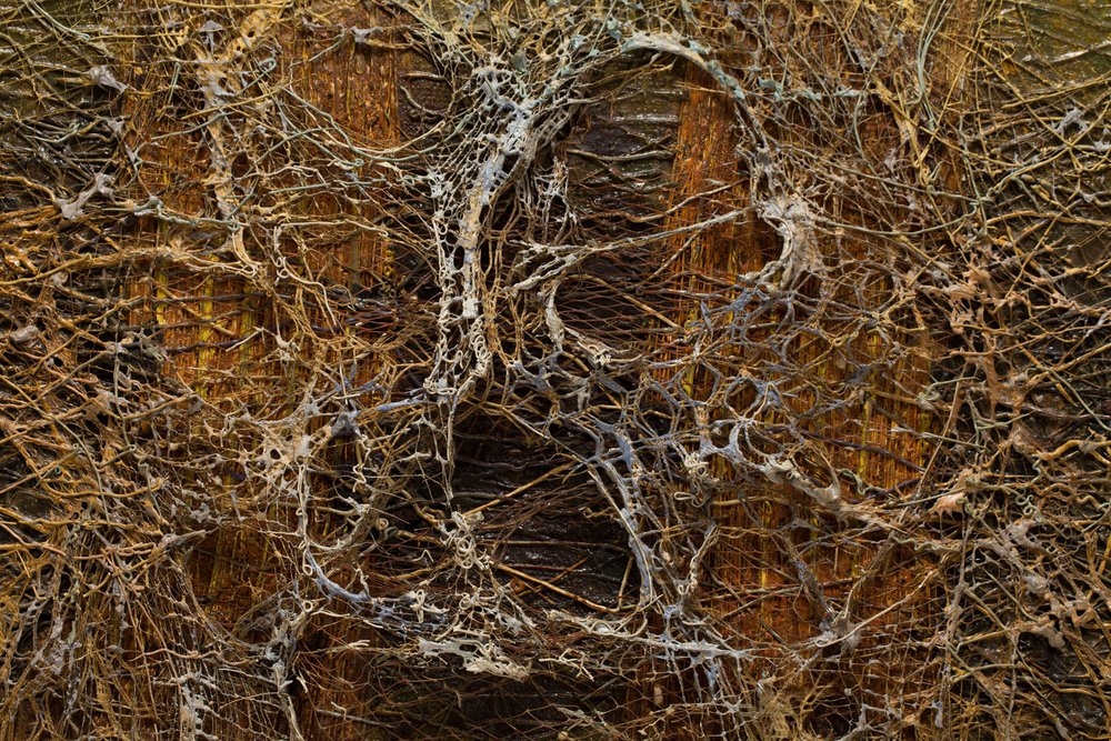 Artwork by Zdzislaw Salaburski, Composition, Made of oil, mixed media/canvas