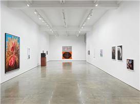 “Wish” Group Show at Metro Pictures Gallery, NYC (Video + Photo Story)
