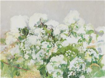 Charlotte Verity: Echoing Green - Karsten Schubert