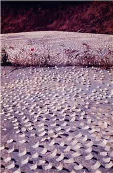 Senza titolo - Marcello Maloberti