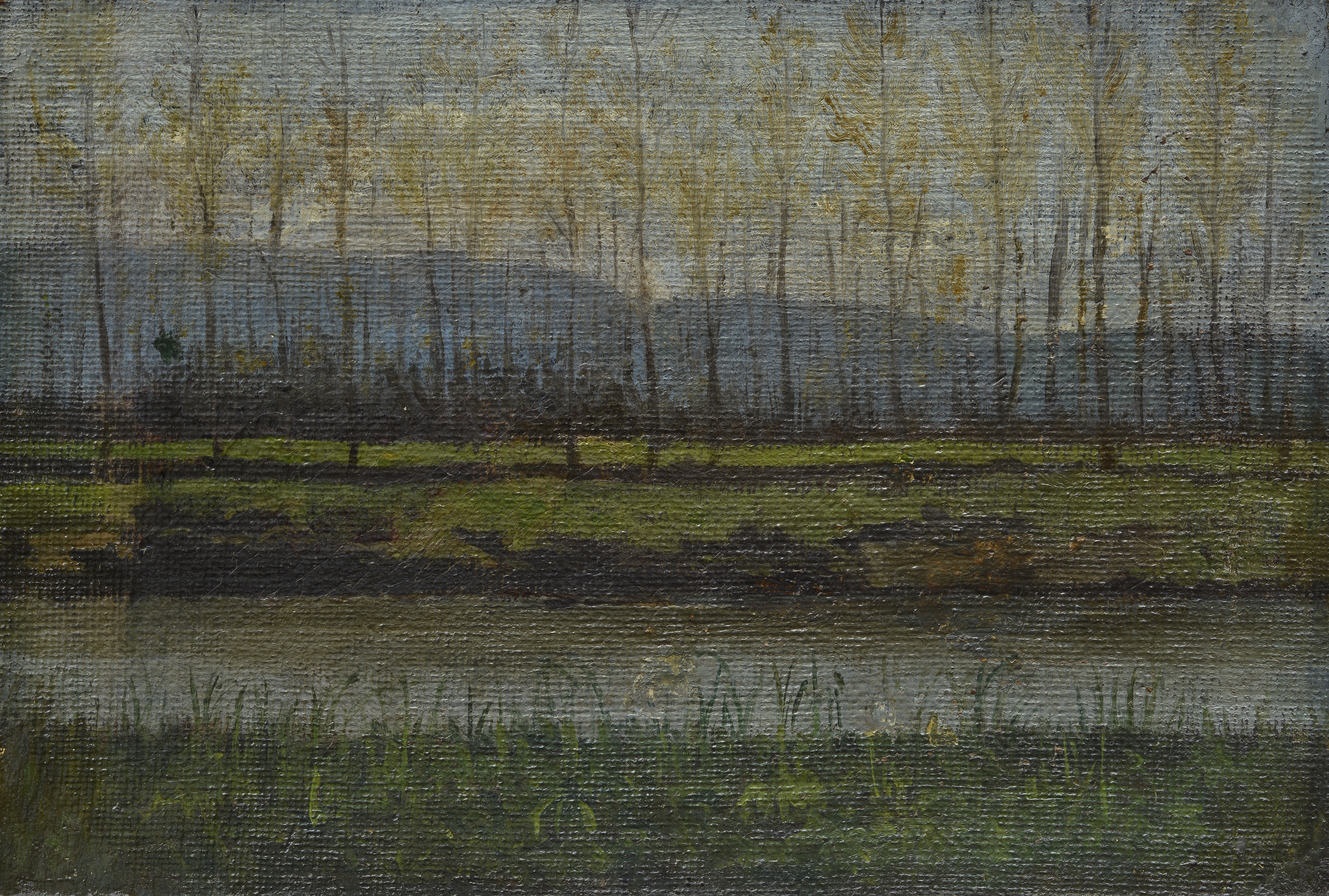 Artwork by Raffaello Sernesi, L' Arno alle Cascine, Made of Oil on canvas