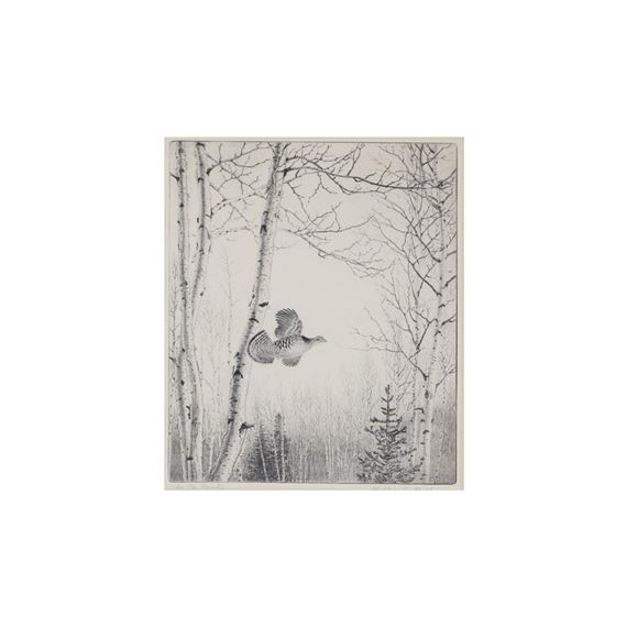 In the Birches by Walter E. Bohl