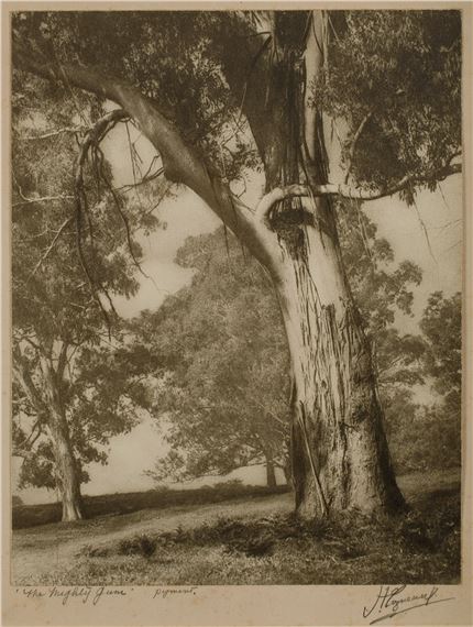 The Mighty Gum by Harold Cazneaux