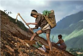 Steve McCurry. Terre Alte (High Lands)