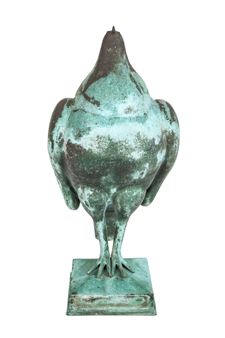 Guard Pigeon - Wayne Chabre