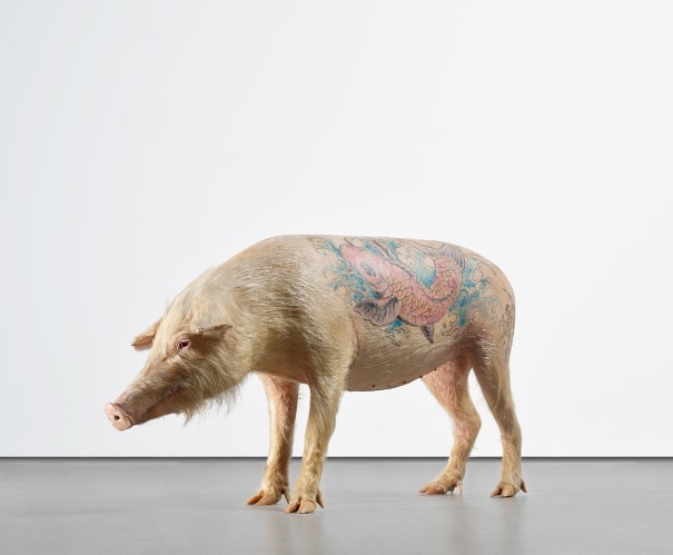 Vladimir (Le Cochon) by Wim Delvoye, Executed in 2000-2001