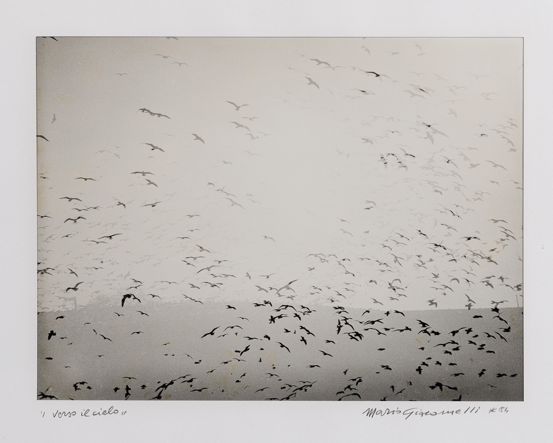 Mario Giacomelli | Verso il cielo (1983) | MutualArt