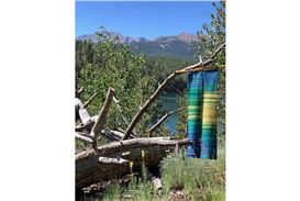 New Exhibitions at the Berman Museum Examine Relationships Between Humans and the Natural World