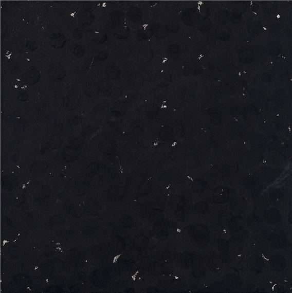 1000 Grapes by Gerald Ferguson