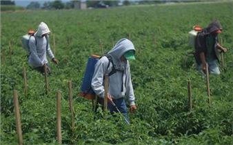 A Rural Death - fluent