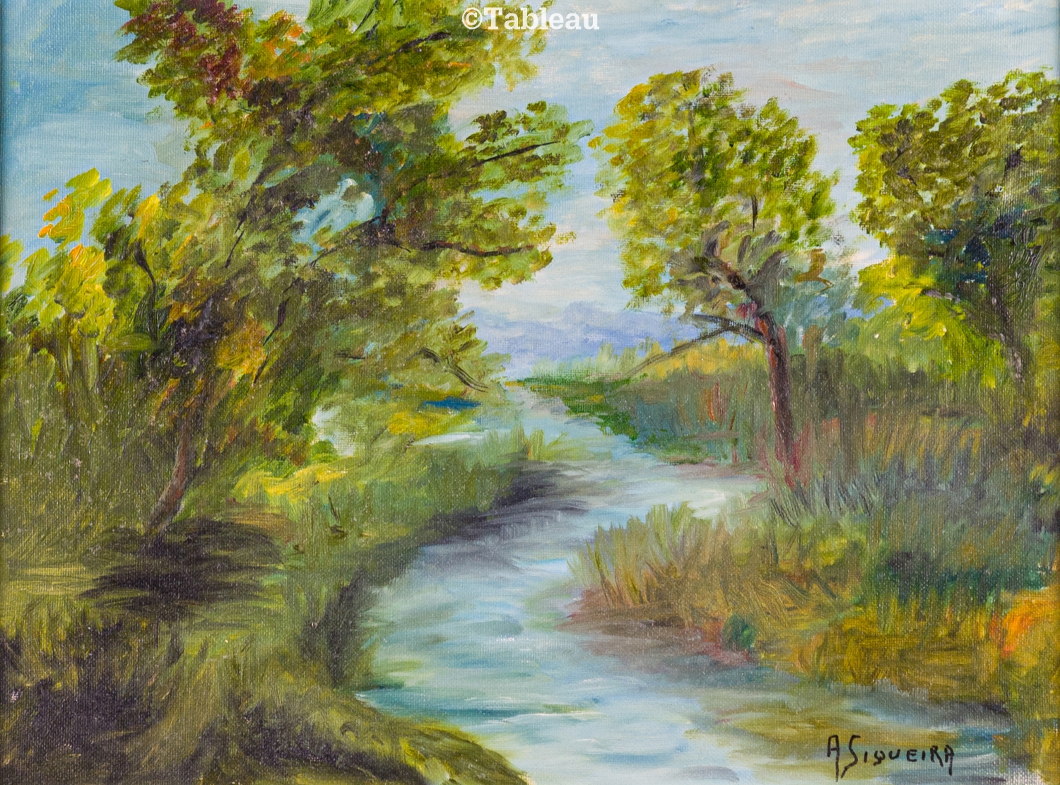 Adelaide Siqueira | Rio | MutualArt