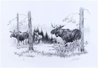 Moose in the forest - Lennart Norman