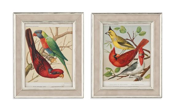 William Rutledge | TWELVE COLOURED LITHOGRAPHS FROM THE ILLUSTRATED ...