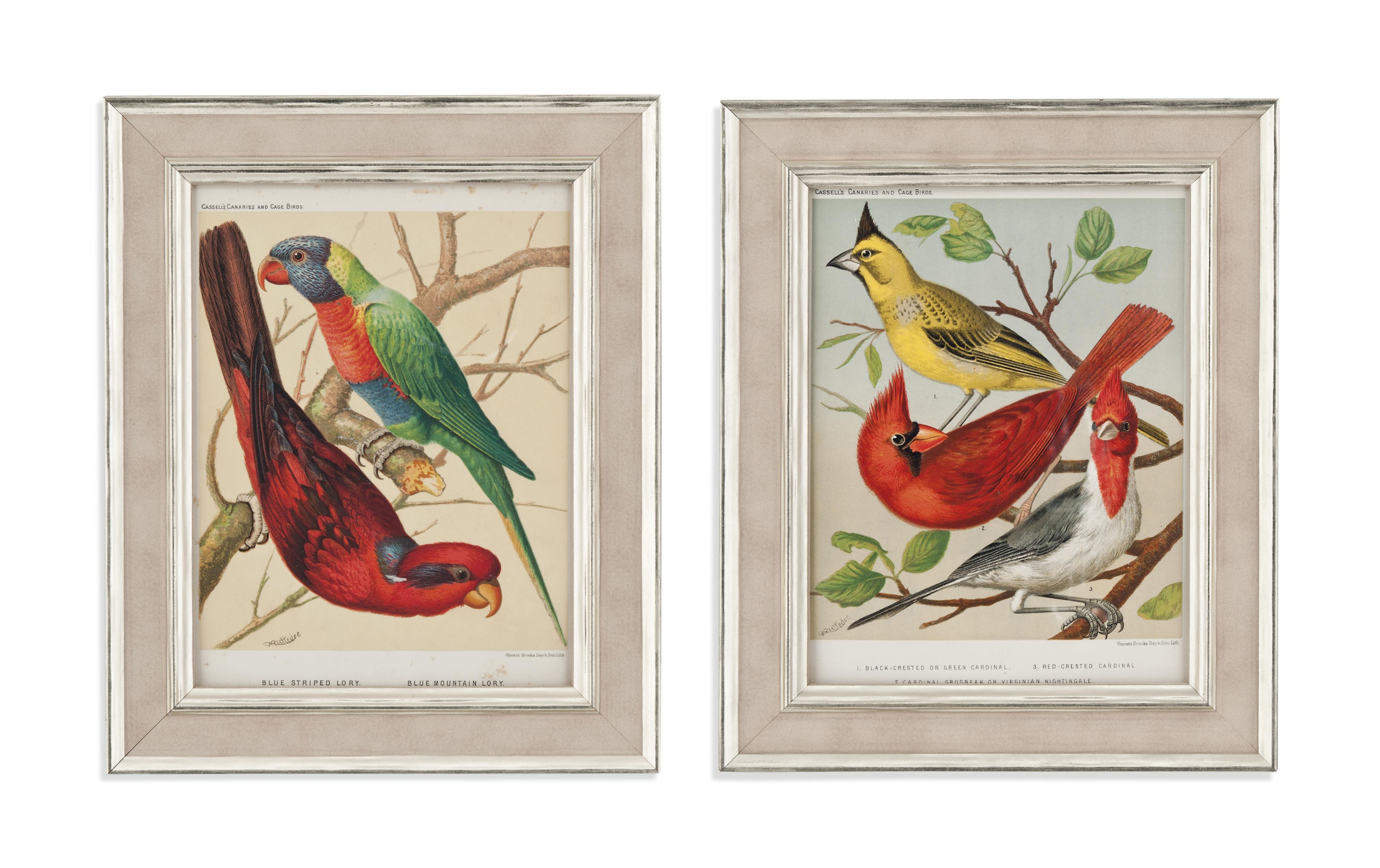 William Rutledge | TWELVE COLOURED LITHOGRAPHS FROM THE ILLUSTRATED ...
