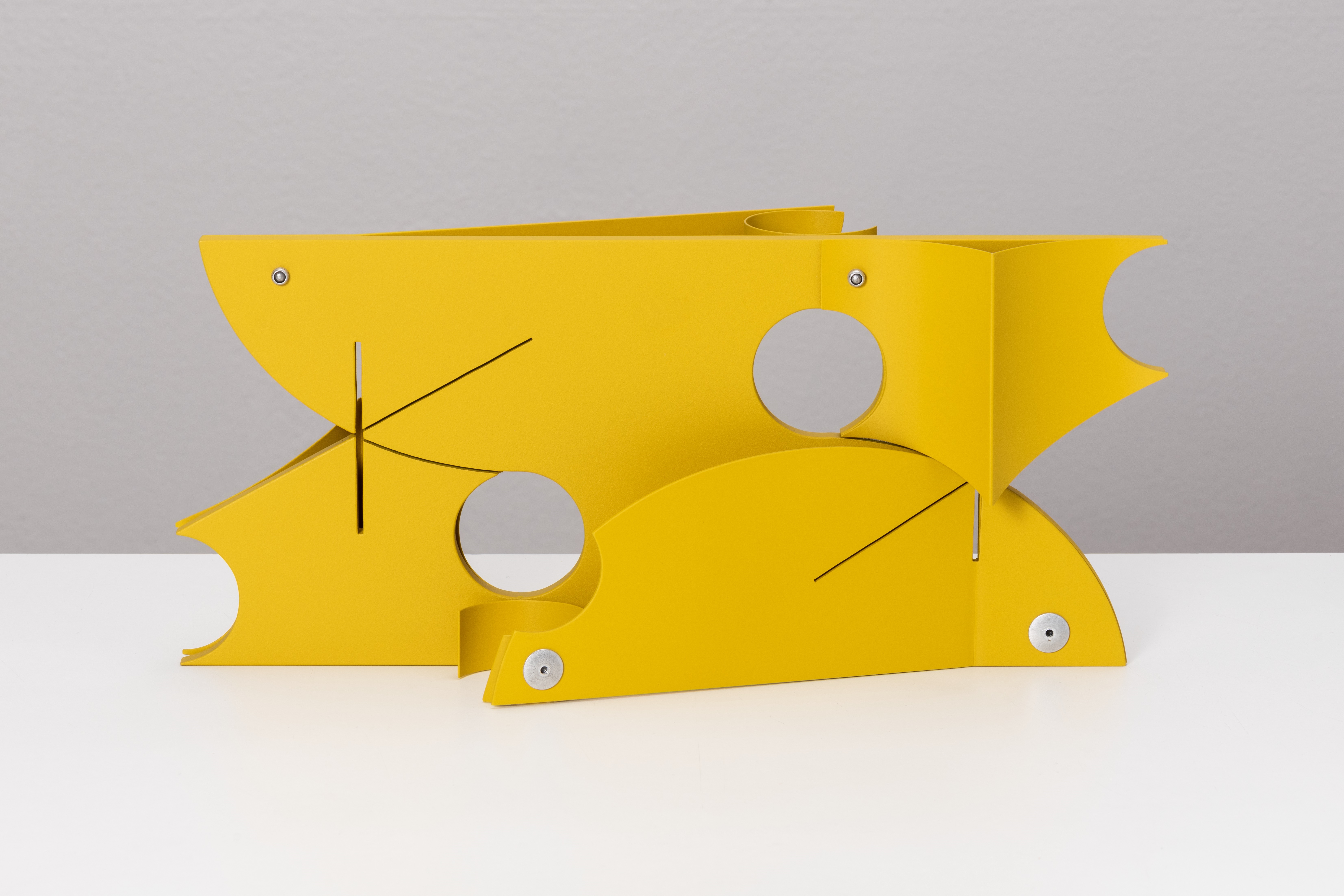 Artwork by Matthew Paweski, Bass (Sulfur), Made of Aluminum, aluminum rivets, vinyl paint