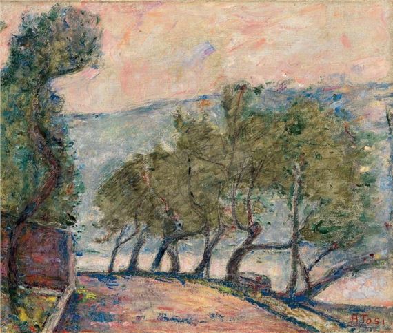 GLI ULIVI DEL LAGO