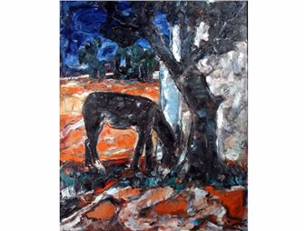 L'asino nro - Toma Radames