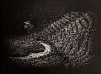 ​Seeing the Edge - Coastal Arts League Gallery