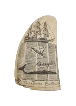 * ENGRAVED WHALE'S TOOTH BY ROBERT SPRING - Robert Spring
