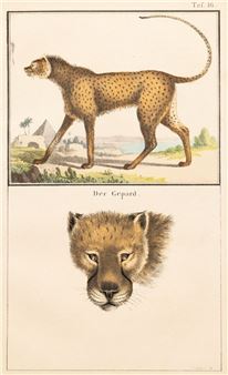 GEPARD - Gustav Mann