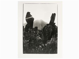 South Africa - Cornelius Hansen