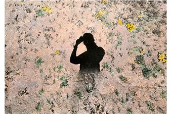 Bruce Silverstein Gallery Opens an Exhibition of New Work by Artist Brea Souders